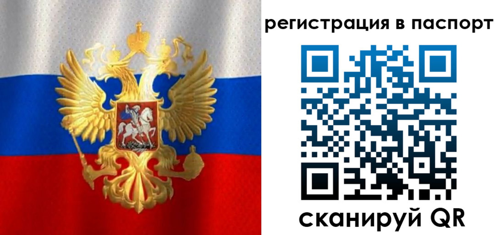 прописка 2025 в Подольске
